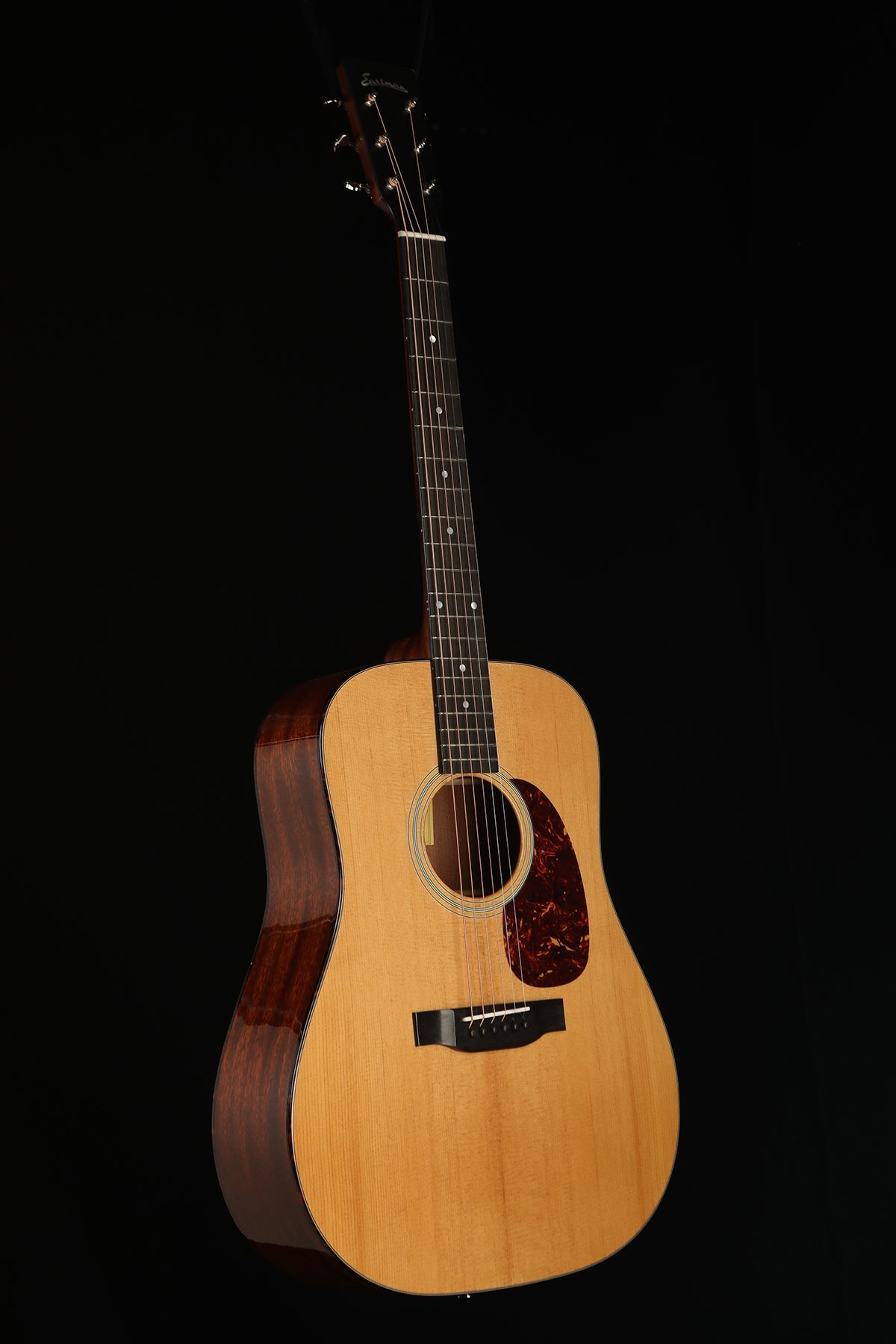 D, Sitka Spruce/Sapele, Gloss, Fishman