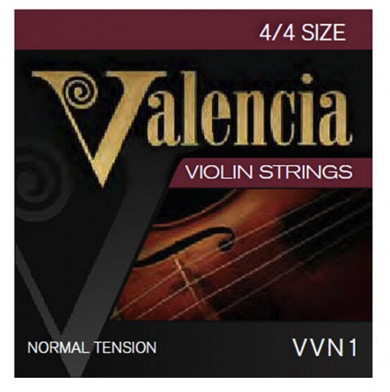 Valencia 4/4 Violin string Set