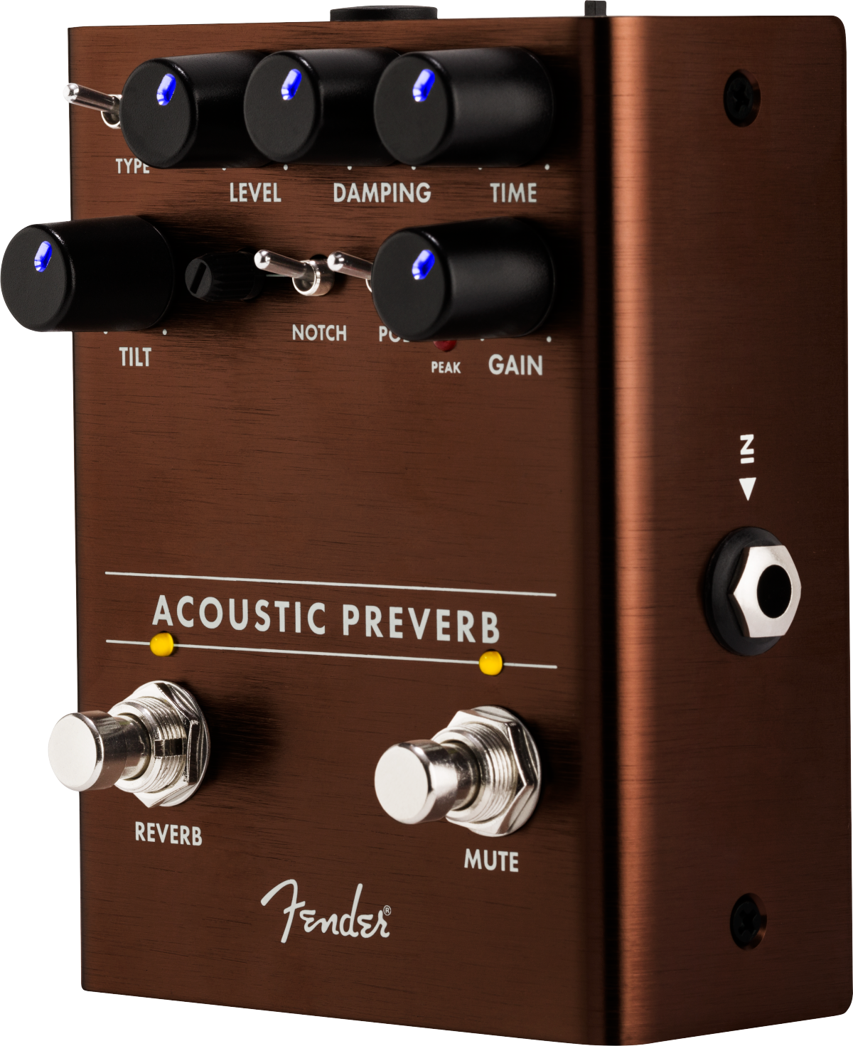 Fender Acoustic Preamp/Reverb