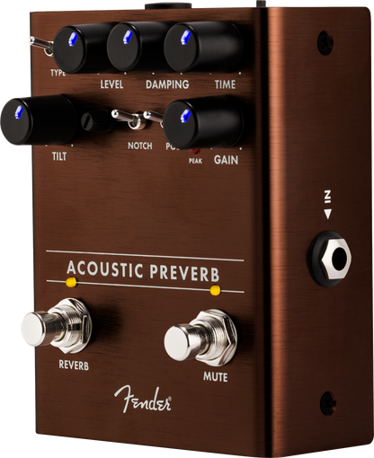 Fender Acoustic Preamp/Reverb