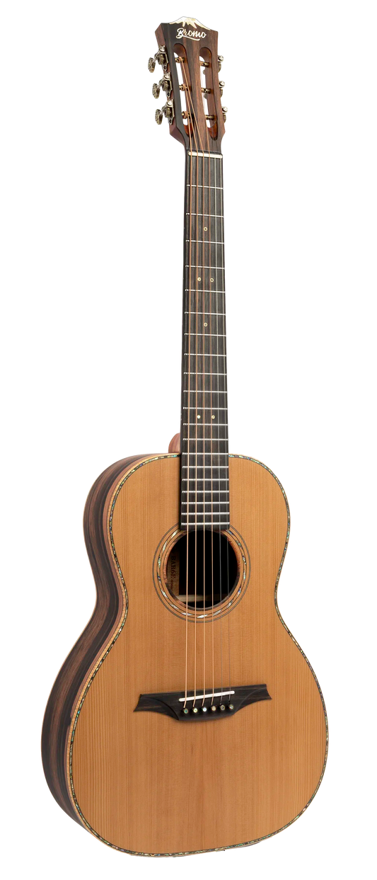 Bromo BAR6E Parlour Acoustic-Electric Guitar - full instrument