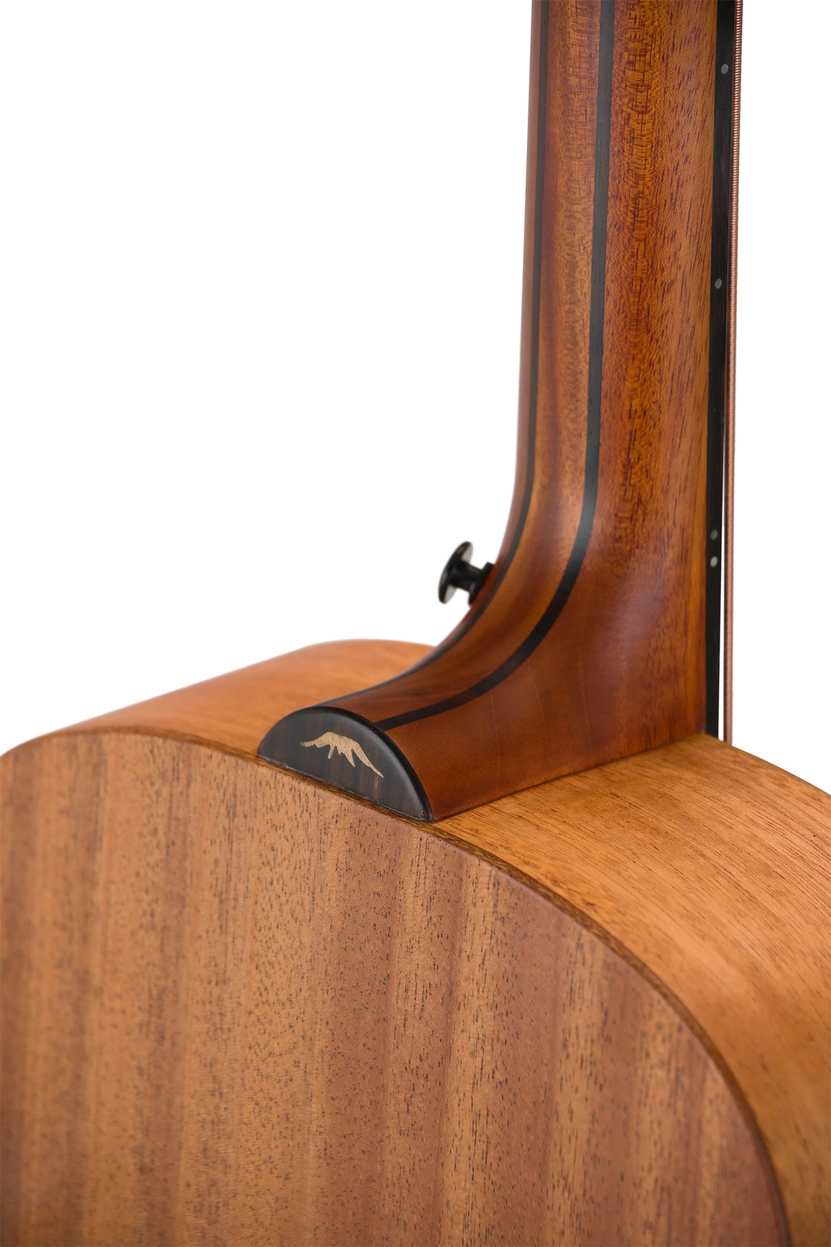 Bromo BAT8E Mini Jumbo Acoustic-Electric Bass - detail 8