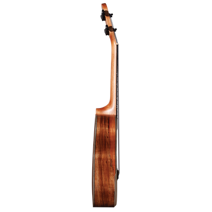 Barnes & Mullins BMUK9C Concert Spalt Maple Ukulele