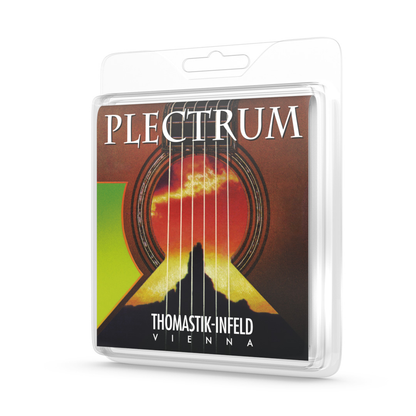 Thomastik AC113 Plectrum Bronze Acoustic Guitar Strings 13/61