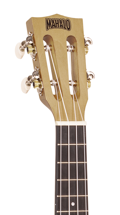 Valencia VA434CE 4/4 size Nylon Acoustic Guitar. Electric/Acoustic