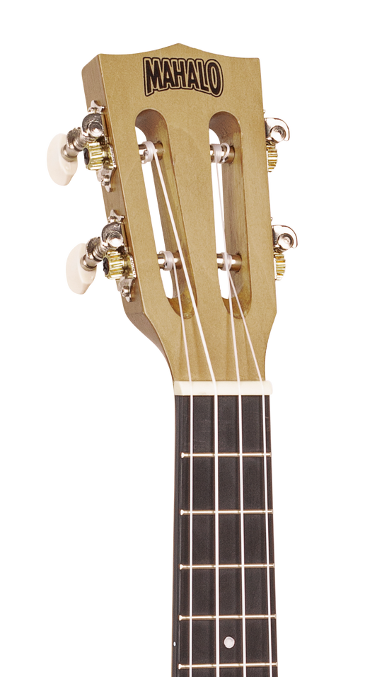 Valencia VA434CE 4/4 size Nylon Acoustic Guitar. Electric/Acoustic