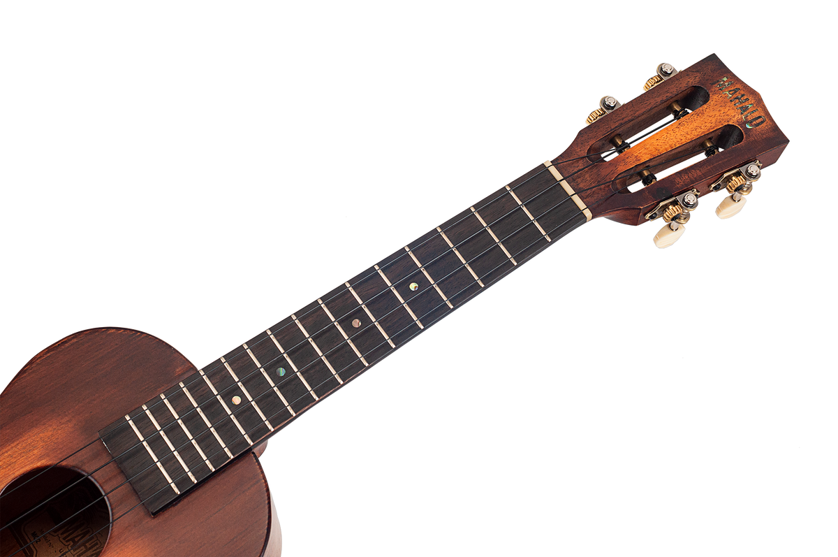 Mahalo MO2 Concert ukulele