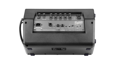 NUX Busking 200FR NBA-200FR Battery-Powered 2-Channel Speaker