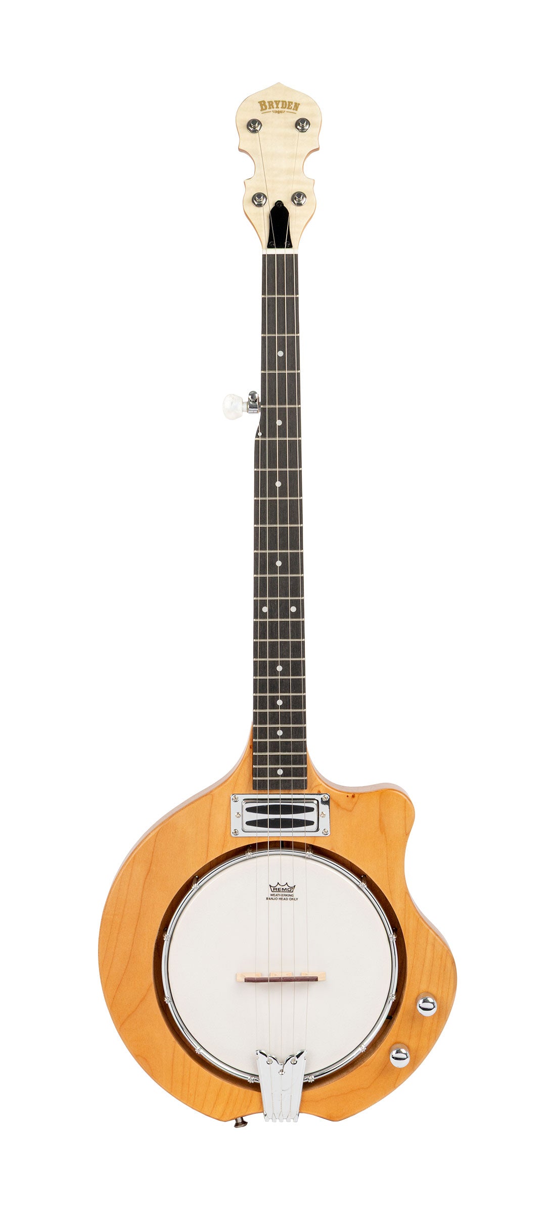 BRYDEN SBJ560E 5-String Electric Hybrid Mountain Banjo