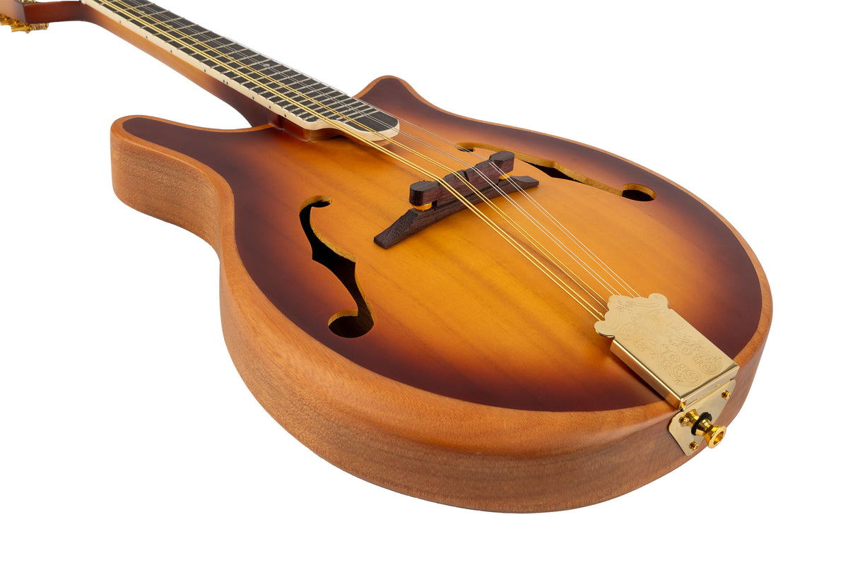 Bryden SMA80 Contemorary Arch Top Mandolin