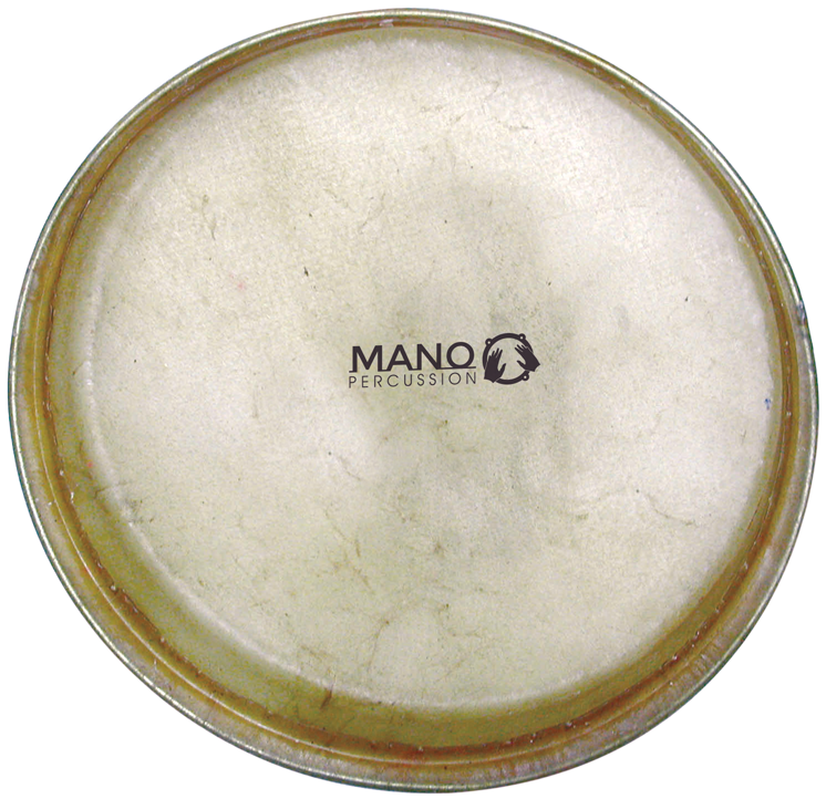 Mano Percussion TDH310 Djembe Head