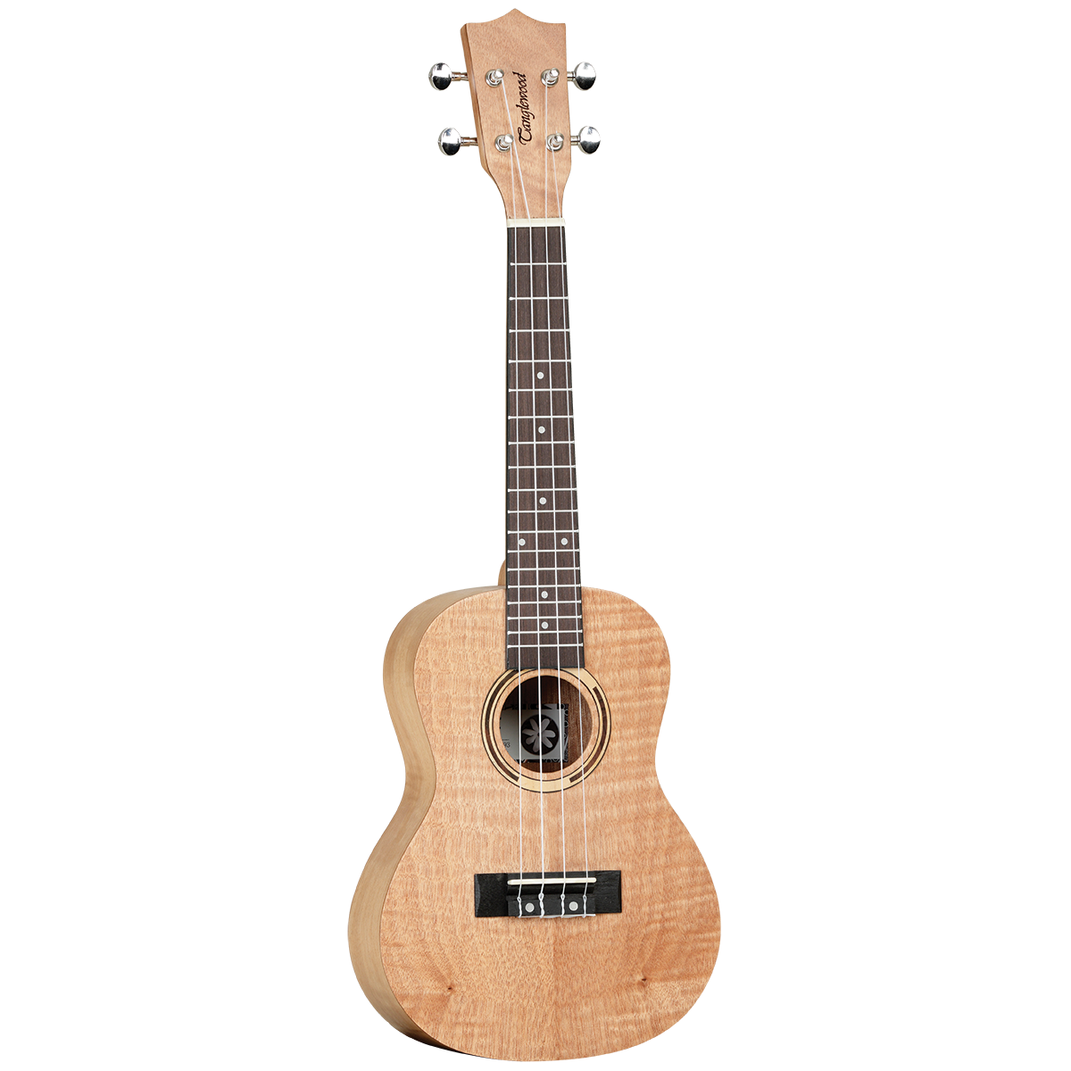 Tanglewood Tiare TWT6B Concert Ukulele w/Gigbag - Flame Mahogany