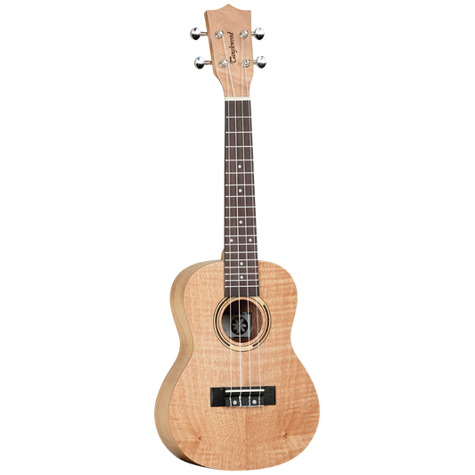 Tanglewood Tiare TWT6B Concert Ukulele w/Gigbag - Flame Mahogany