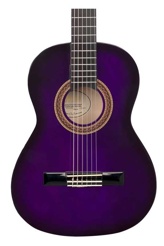 Valencia VC103PPS Classical Guitar