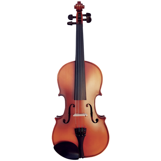 Vivo Neo 4/4 Student Violin Outfit