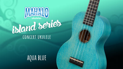 Valencia VA434 4/4 size Nylon Acoustic Guitar