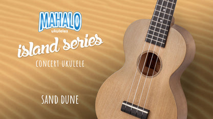 Valencia VA434CE 4/4 size Nylon Acoustic Guitar. Electric/Acoustic